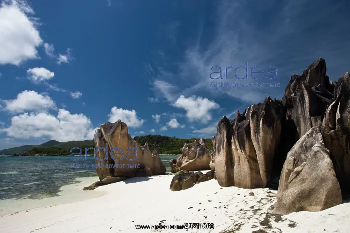 : Seychelles, Curieuse Island, Giant Tortoise : Seychelles, Curieuse Island, Giant Tortoise