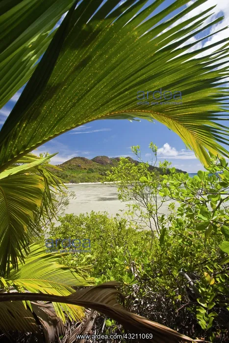 : Seychelles, Curieuse Island, Laraie Bay : Seychelles, Curieuse Island, Laraie Bay