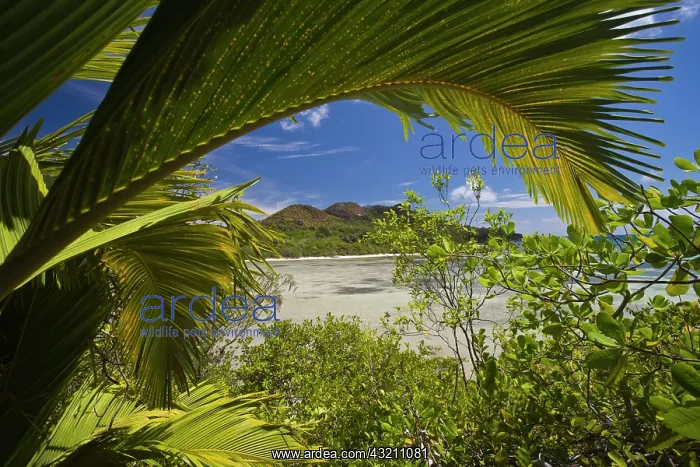 : Seychelles, Curieuse Island, Laraie Bay : Seychelles, Curieuse Island, Laraie Bay