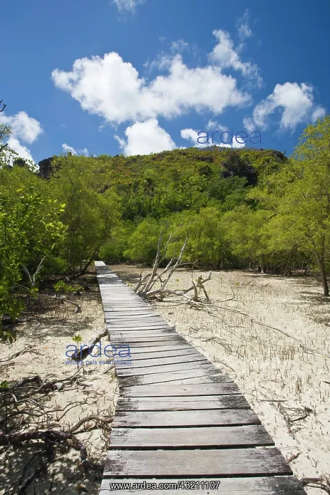 : Seychelles, Curieuse Island, marsh walkway : Seychelles, Curieuse Island, marsh walkway