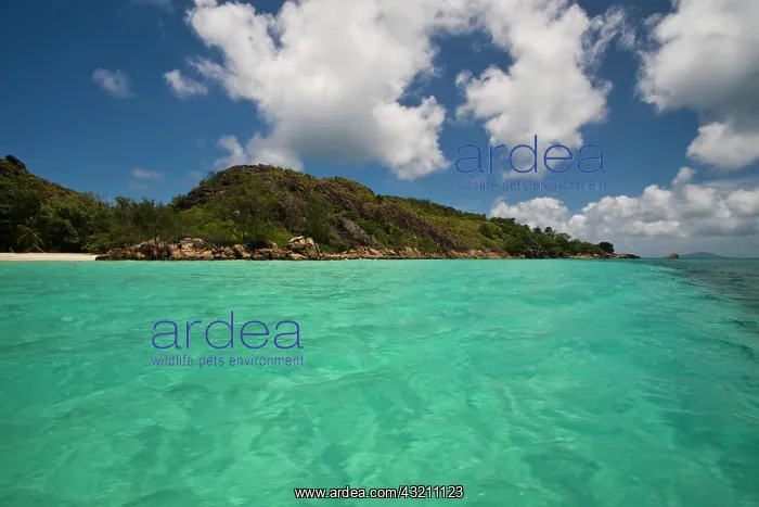  : Seychelles, Curieuse Island, view from water