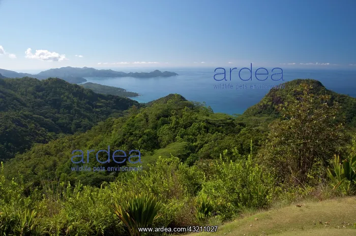 : Seychelles, Island of Mahe. Morne National : Seychelles, Island of Mahe. Morne National