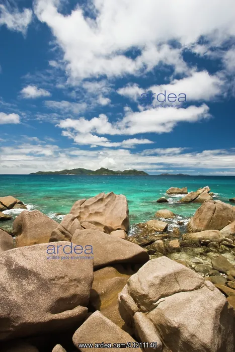 : Seychelles, La Digue Island, Anse Patates : Seychelles, La Digue Island, Anse Patates