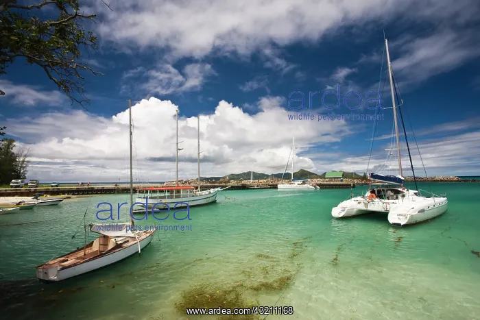 : Seychelles, La Digue Island, La Passe, La : Seychelles, La Digue Island, La Passe, La