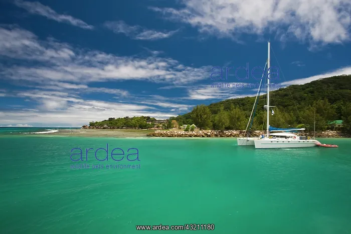 : Seychelles, La Digue Island, La Passe, La : Seychelles, La Digue Island, La Passe, La