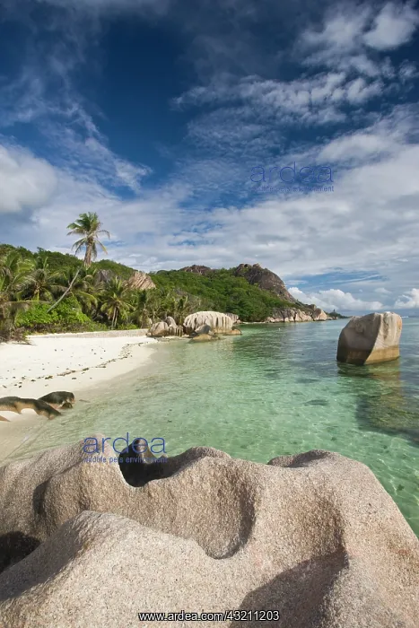 : Seychelles, La Digue Island, L'Union Estate : Seychelles, La Digue Island, L'Union Estate