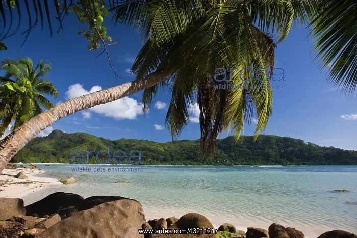 : Seychelles, Mahe Island, Anse a la Mouche : Seychelles, Mahe Island, Anse a la Mouche