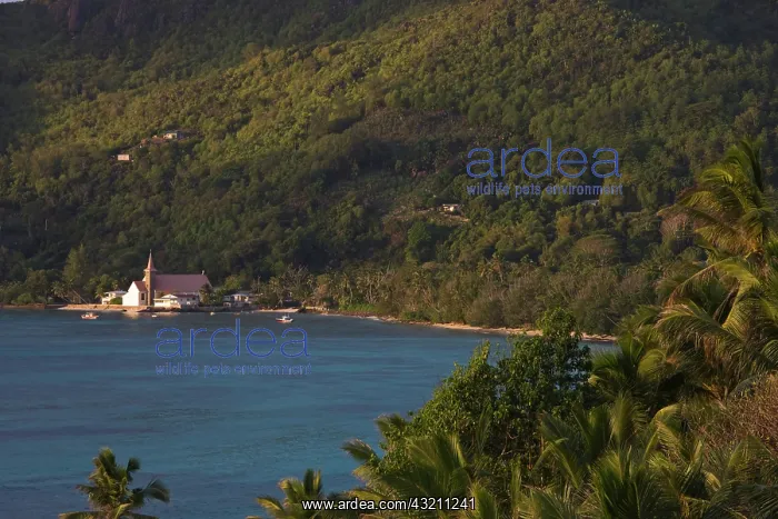 : Seychelles, Mahe Island, Anse Royale, Town : Seychelles, Mahe Island, Anse Royale, Town