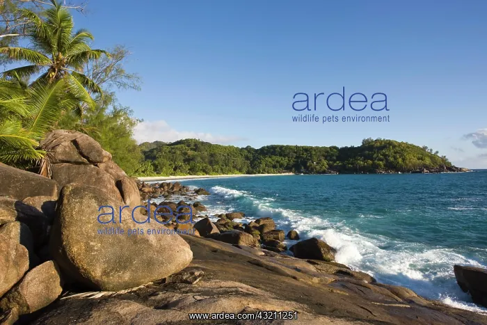 : Seychelles, Mahe Island, Anse Takamaka beach : Seychelles, Mahe Island, Anse Takamaka beach