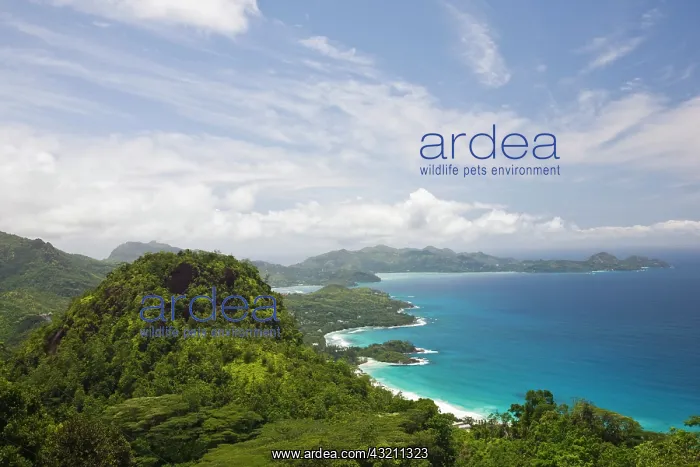 : Seychelles, Mahe Island, Morne Seychellois : Seychelles, Mahe Island, Morne Seychellois