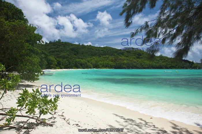 : Seychelles, Mahe Island, Port Launay Marine : Seychelles, Mahe Island, Port Launay Marine