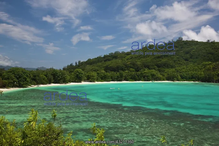 : Seychelles, Mahe Island, Port Launay Marine : Seychelles, Mahe Island, Port Launay Marine