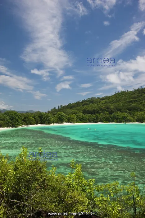 : Seychelles, Mahe Island, Port Launay Marine : Seychelles, Mahe Island, Port Launay Marine
