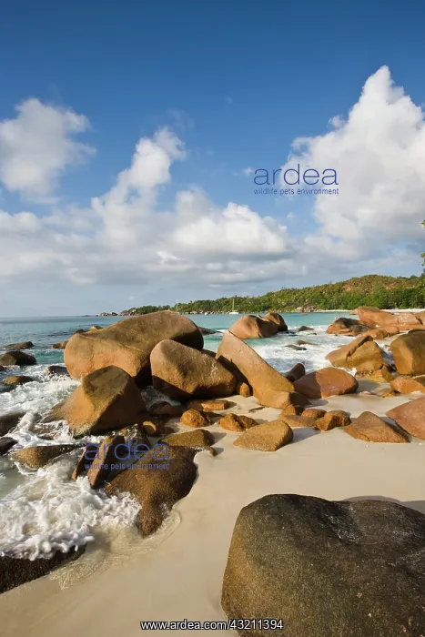 : Seychelles, Praslin Island, Chevalier Bay : Seychelles, Praslin Island, Chevalier Bay