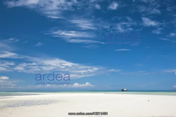 : Seychelles, Praslin Island, Grande Anse : Seychelles, Praslin Island, Grande Anse