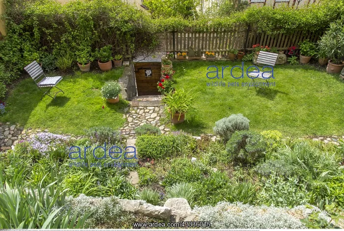 : SG F, Freizeit / Hobby, Garten, Kleingarten mit : SG F, Freizeit / Hobby, Garten, Kleingarten mit