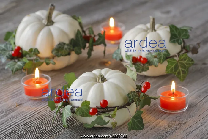 : SG W, Weihnachten, Herbstdekoration - Christmas : SG W, Weihnachten, Herbstdekoration - Christmas