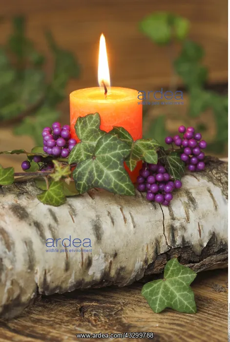 : SG W, Weihnachten, Herbstdekoration - Christmas : SG W, Weihnachten, Herbstdekoration - Christmas