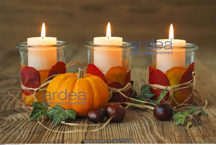 : SG W, Weihnachten, Herbstdekoration - Christmas : SG W, Weihnachten, Herbstdekoration - Christmas