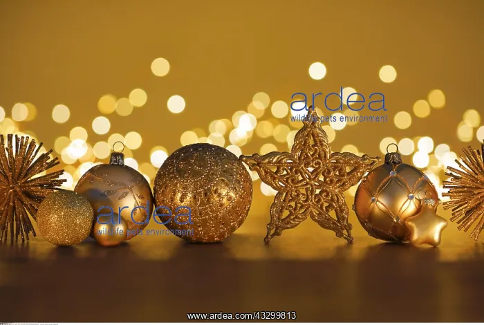 : SG W, Weihnachten, Weihnachtsdekoration, Schweiz : SG W, Weihnachten, Weihnachtsdekoration, Schweiz