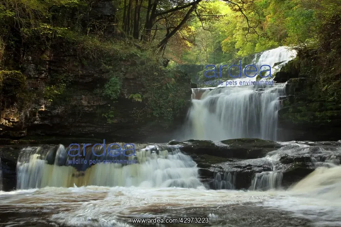 : Sgwd Isaf Clun Gwyn waterfall on the river Mellte : Sgwd Isaf Clun Gwyn waterfall on the river Mellte