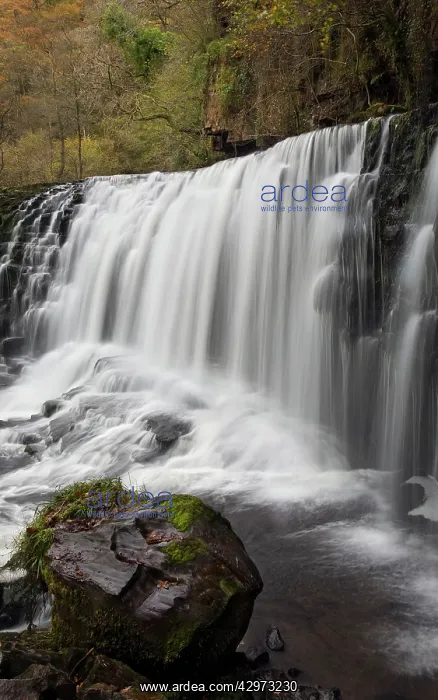 : Sgwd Isaf Clun Gwyn waterfall on the river Mellte : Sgwd Isaf Clun Gwyn waterfall on the river Mellte