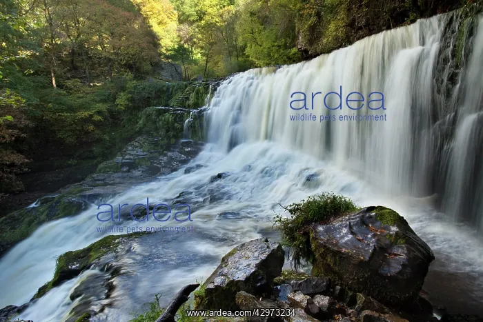 : Sgwd Isaf Clun Gwyn waterfall on the river Mellte : Sgwd Isaf Clun Gwyn waterfall on the river Mellte