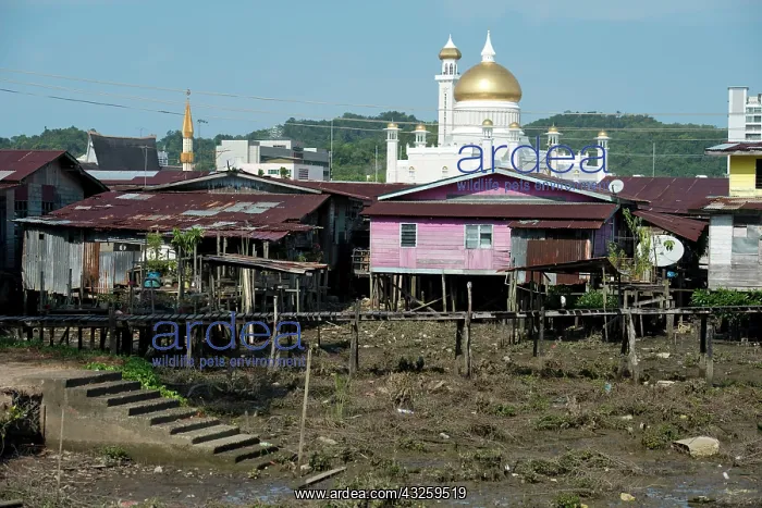 : Shack and Mosque Opulent Sultan Omar Ali Saifuddien : Shack and Mosque Opulent Sultan Omar Ali Saifuddien