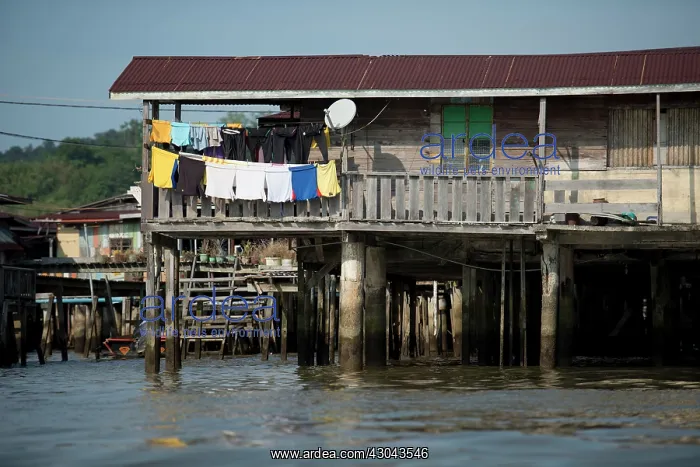  : Shack on stilts with washing in river