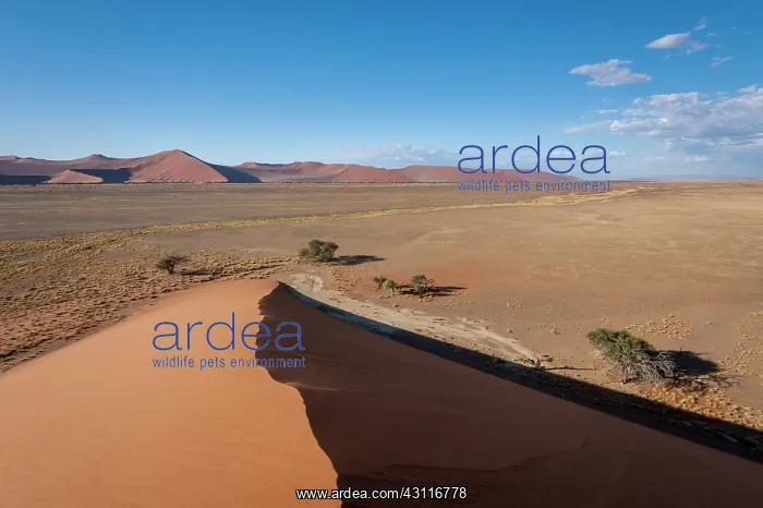 : Shadow cast over the Namib Naukluft Park sand dunes : Shadow cast over the Namib Naukluft Park sand dunes