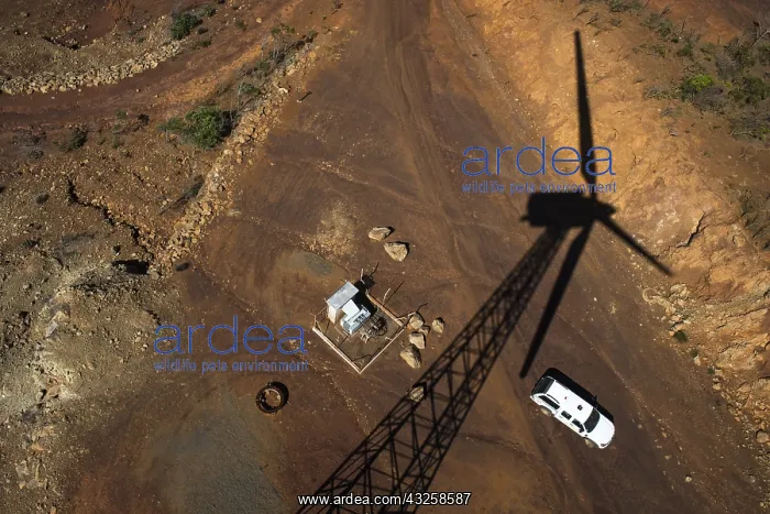 : Shadow of a wind turbine on the ground. New Caledonia : Shadow of a wind turbine on the ground. New Caledonia