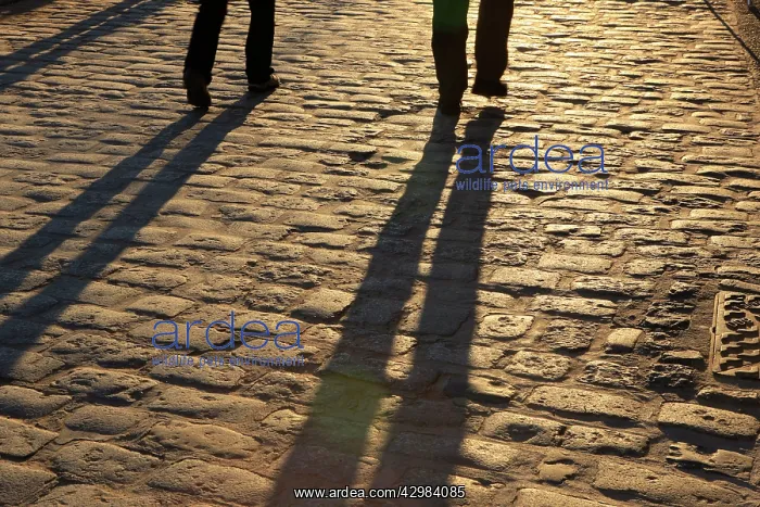 : Shadows - on cobblestones : Shadows - on cobblestones