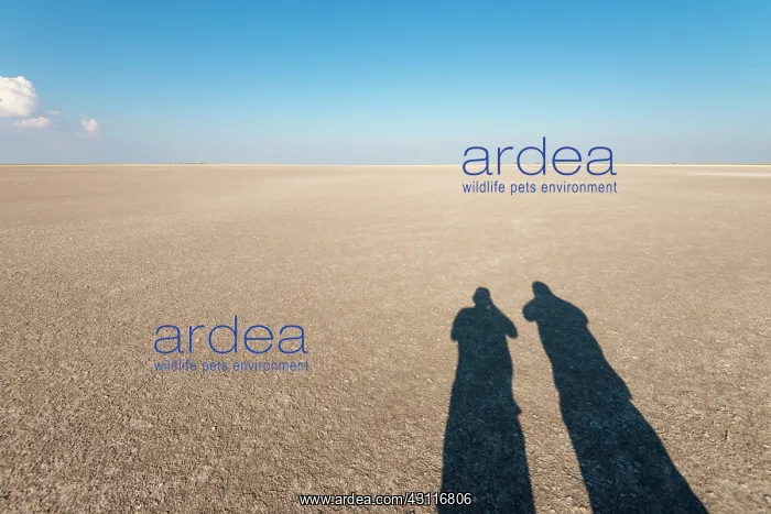 : Shadows of men in the Makgadikgadi Pans, Botswana : Shadows of men in the Makgadikgadi Pans, Botswana