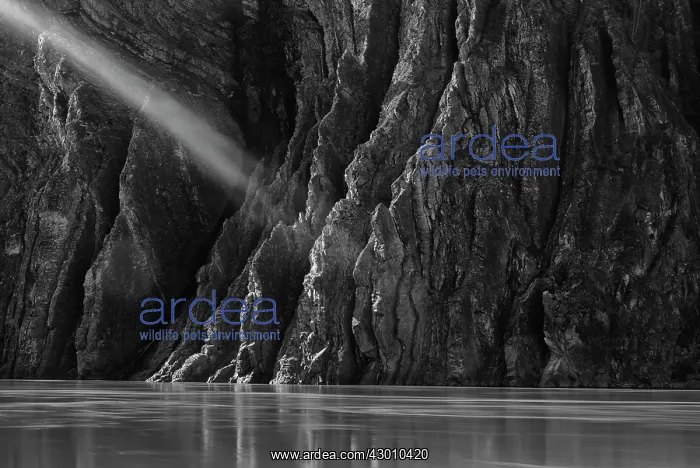 : Shaft of Light Peel Canyon, Yukon, Canada : Shaft of Light Peel Canyon, Yukon, Canada