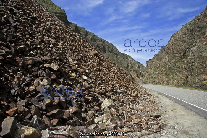 : Shale along the highway between the towns of Salmon and Challis, Idaho : Shale along the highway between the towns of Salmon and Challis, Idaho
