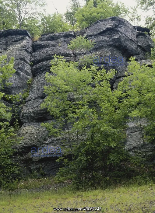 : Shale in Pennsylvania : Shale in Pennsylvania