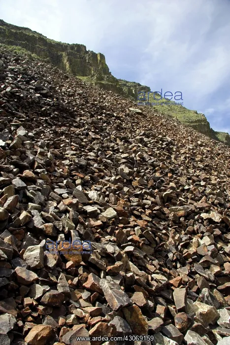 : Shale along the Salmon River between the towns of Salmon and Challis, Idaho : Shale along the Salmon River between the towns of Salmon and Challis, Idaho