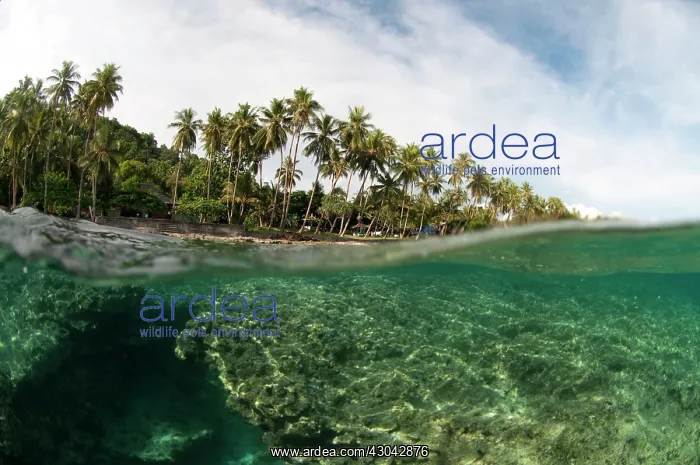  : Shallow water view from sea