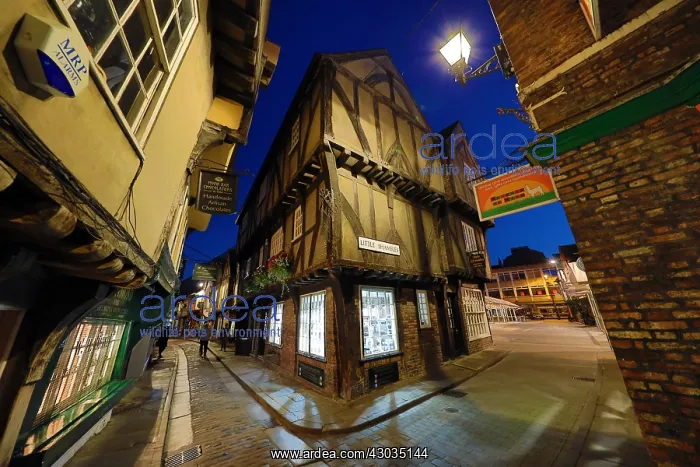  : Shambles and Little Shambles street scene with