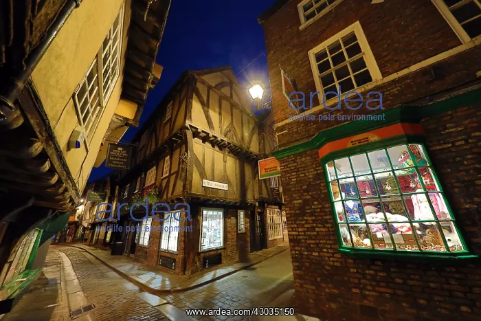  : Shambles and Little Shambles street scene with