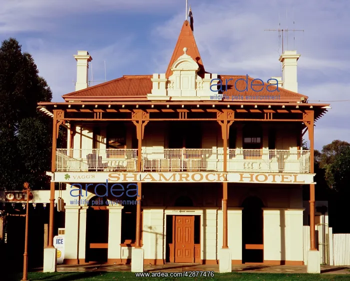: Shamrock Hotel Echuca : Shamrock Hotel Echuca