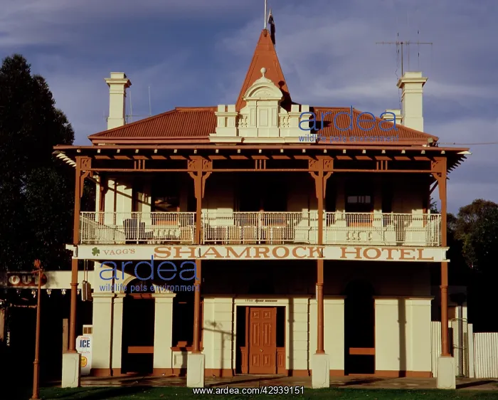 : Shamrock Hotel, Echuca, Victoria, Australia : Shamrock Hotel, Echuca, Victoria, Australia