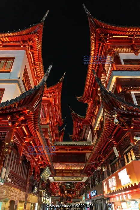 : Shanghai. Buildings in district Pudong - Shanghai - China : Shanghai. Buildings in district Pudong - Shanghai - China