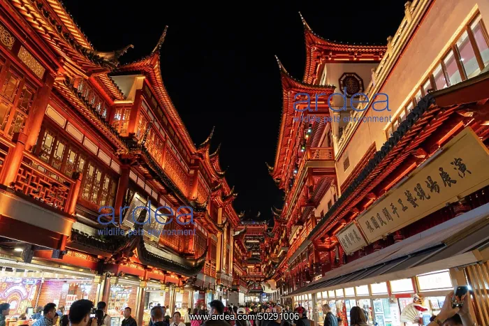 : Shanghai. Buildings in district Pudong - Shanghai - China : Shanghai. Buildings in district Pudong - Shanghai - China