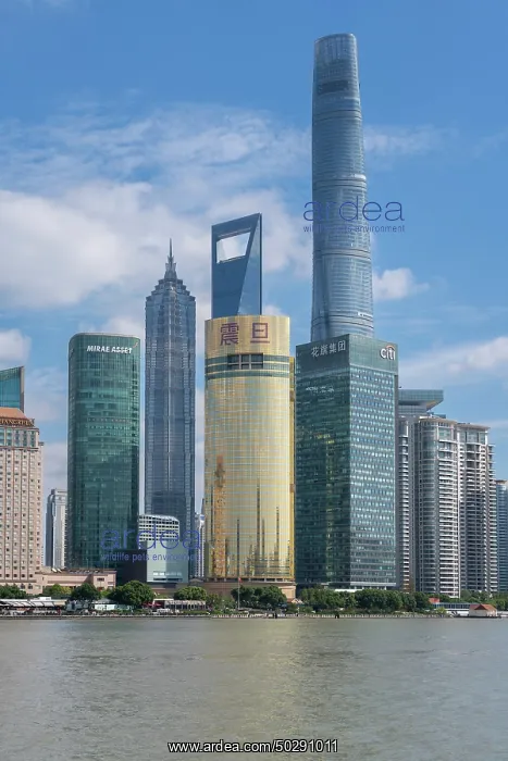 : Shanghai. Buildings in district Pudong - Shanghai - China : Shanghai. Buildings in district Pudong - Shanghai - China