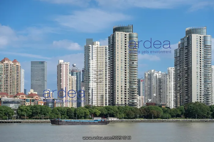 : Shanghai. Buildings in district Pudong - Shanghai - China : Shanghai. Buildings in district Pudong - Shanghai - China