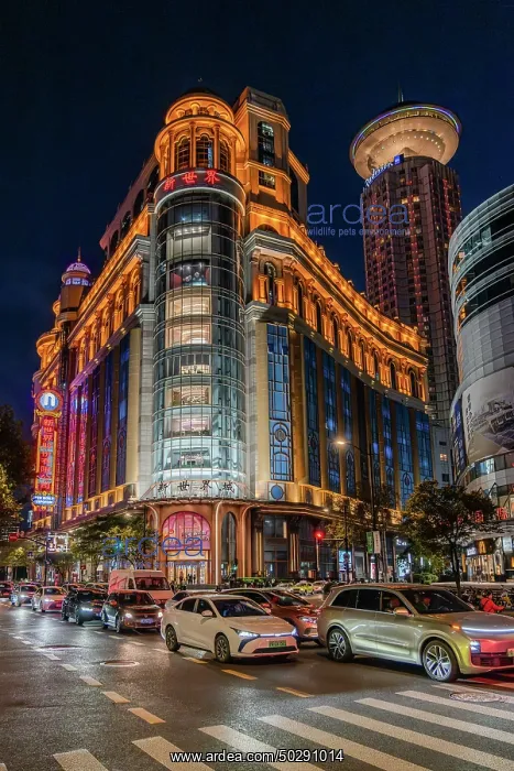 : Shanghai. Buildings in district Pudong - Shanghai - China : Shanghai. Buildings in district Pudong - Shanghai - China