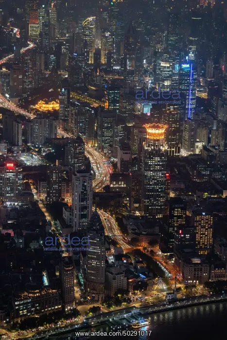 : Shanghai. Buildings in district Pudong - Shanghai - China : Shanghai. Buildings in district Pudong - Shanghai - China