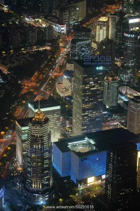 : Shanghai. Buildings in district Pudong - Shanghai - China : Shanghai. Buildings in district Pudong - Shanghai - China