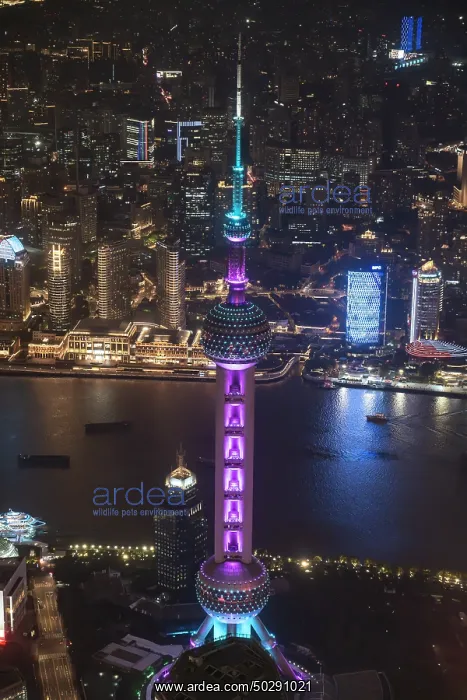 : Shanghai. Buildings in district Pudong - Shanghai - China : Shanghai. Buildings in district Pudong - Shanghai - China